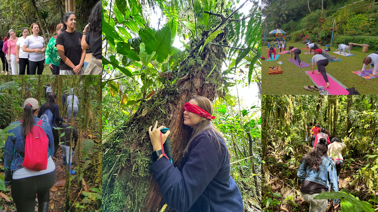 Baños de bosque y círculos