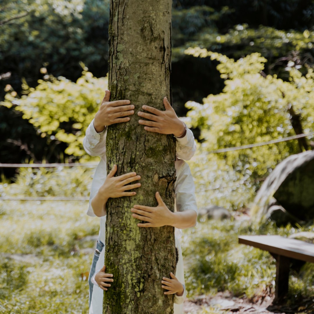 Árbol genealógico